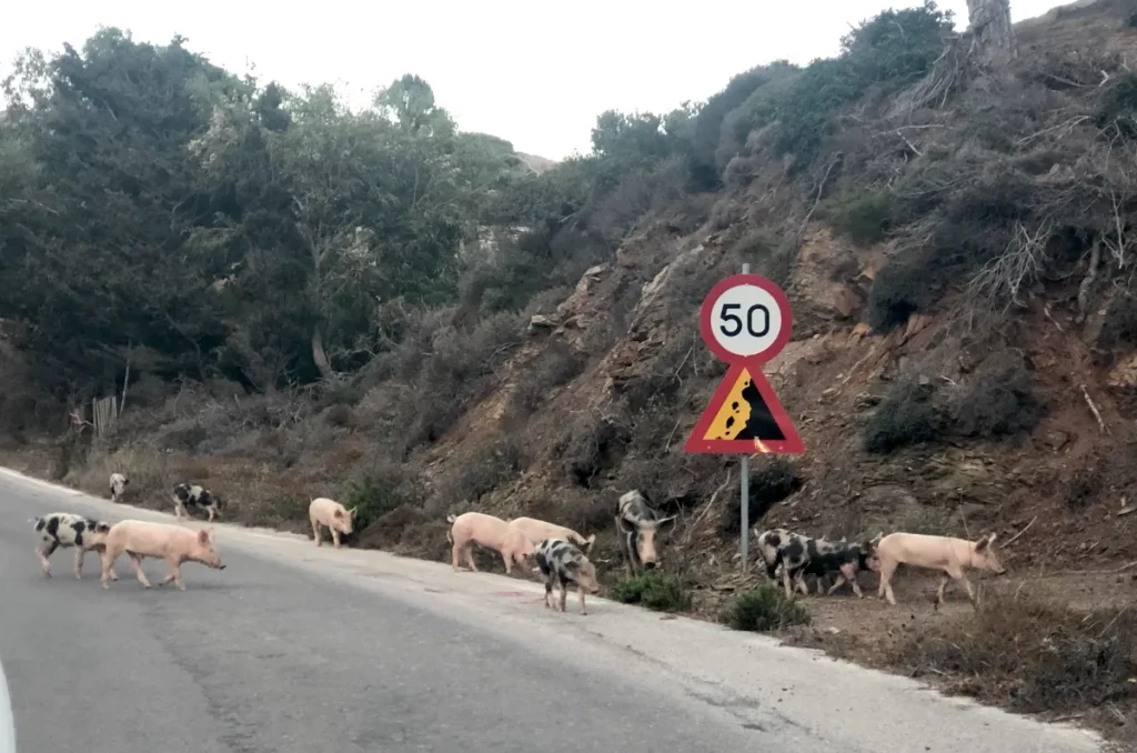 best things to do in Karpathos